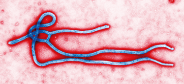 0114-201-ebola-img