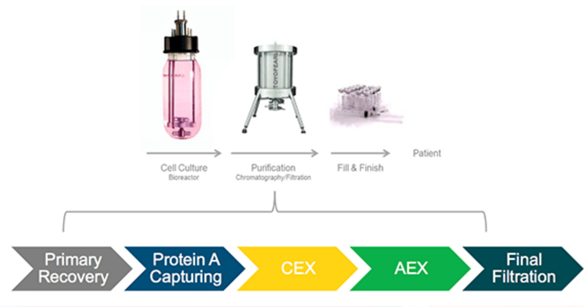 Continuous chromatography for the purification of biomolecules