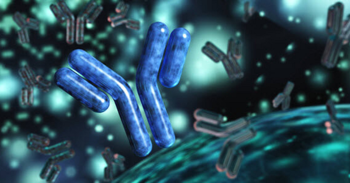 High-throughput protein aggregate analysis of monoclonal antibodies ...